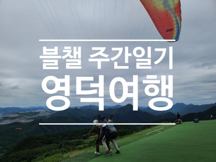  블챌 주간 일기 여름휴가 영덕 여행 후 일상 복귀!!