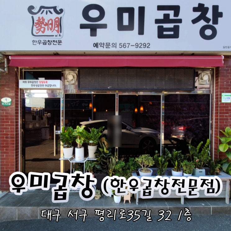  대구 우미곱창 나는솔로 10기 정숙 곱창집 후기