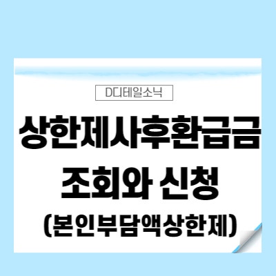  상한제사후환급금 뜻과 조회(국민건강보험공단 본인부담상한제)