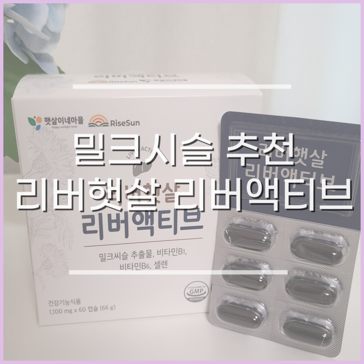  밀크시슬추천, 간에 좋은 간영양제 복용후기