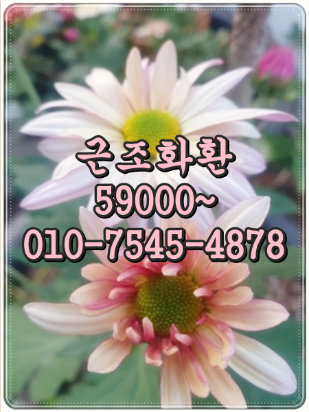  대구 보훈병원장례식장 근조화환 배달 신속하게 잘하는 꽃집