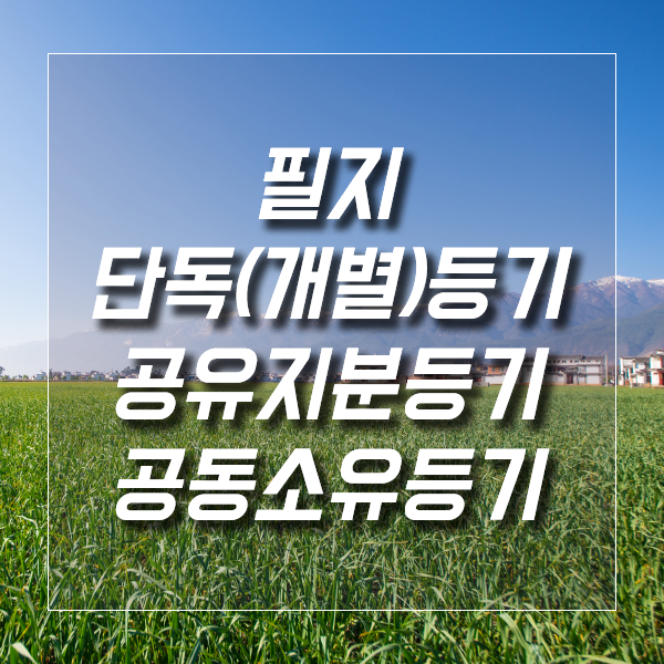  필지, 단독(개별)등기, 공유지분등기, 공동소유등기이란?