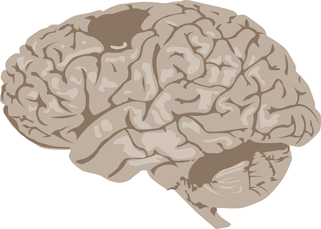 뇌경색, 뇌혈전과 뇌색전이란 무엇일까요