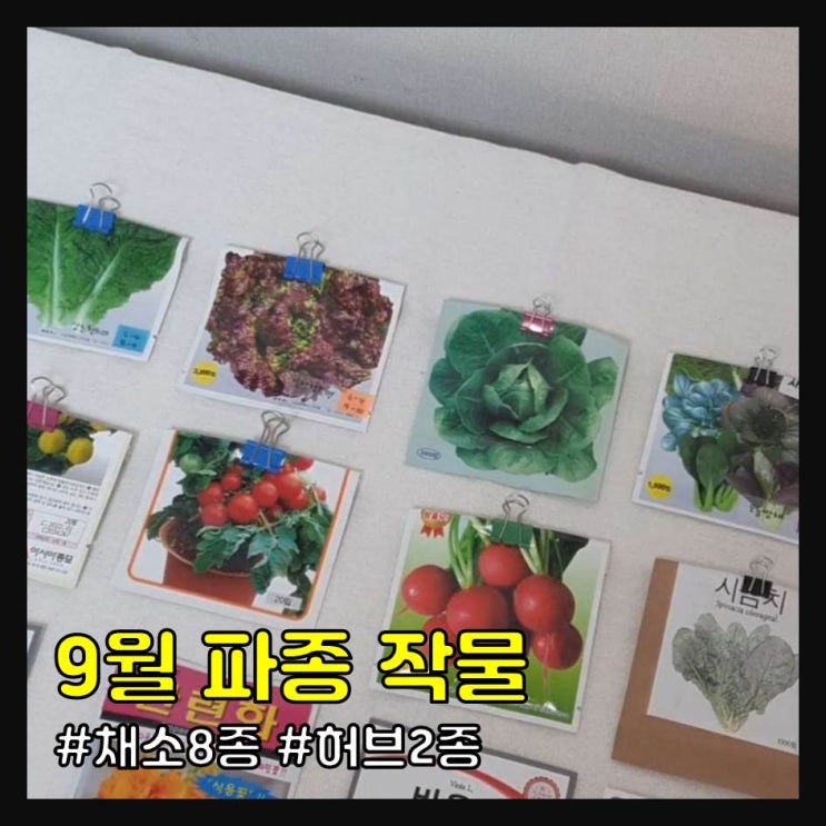  9월 파종 작물 10가지