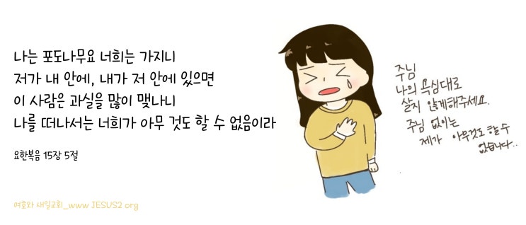 여호와 새일교회 이미지