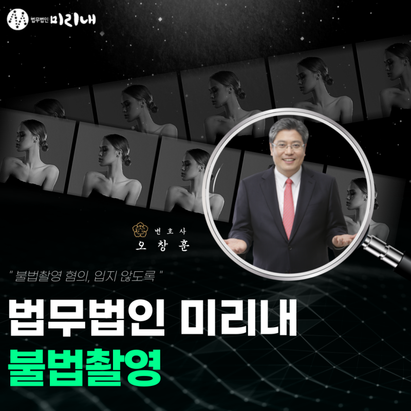 고양이 형사 변호사의 대응이 필요하다면 7