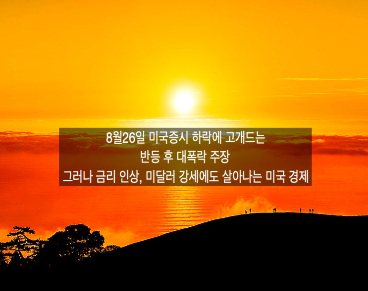  미국뉴욕증시 폭락. 또 다시 거론되는 반등 후 대폭락 주장 그러나 살아나는 미국 경제