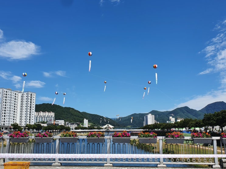  무주 세컨하우스 방문, 무주 복숭아, 무주 사과, 옥천 포도를 사다 / 무주반딧불축제, 영동포도축제는 지나치다