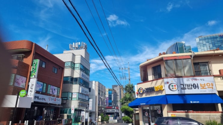  제주공항근처  김밥이 보약 아침 새벽 포장