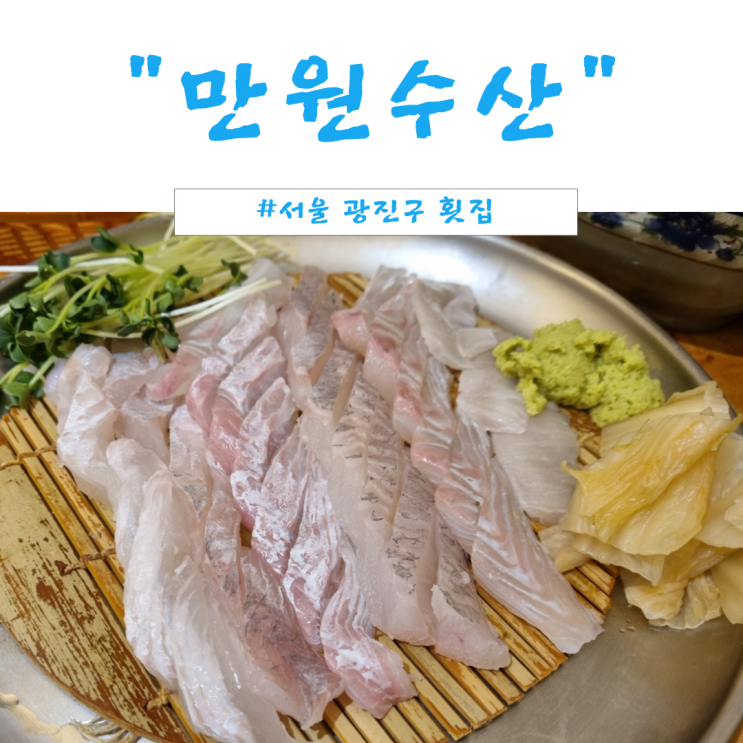  [서울 건대입구역 횟집 맛집, 만원수산] 9월 제철 회 가을 회인 전어 농어와 가성비 광어 우럭 참돔 연어 가격 정보