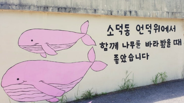  이상한 변호사 우영우 팽나무 촬영지 태수미와 우영우