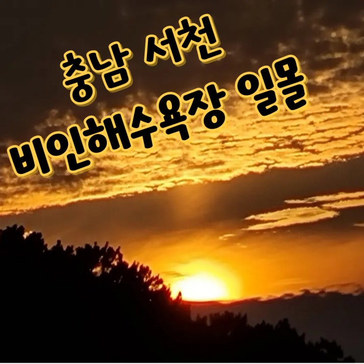 서천 황금빛 바다  일몰 명소 비인해수욕장과 역대급 노을뷰 6곳