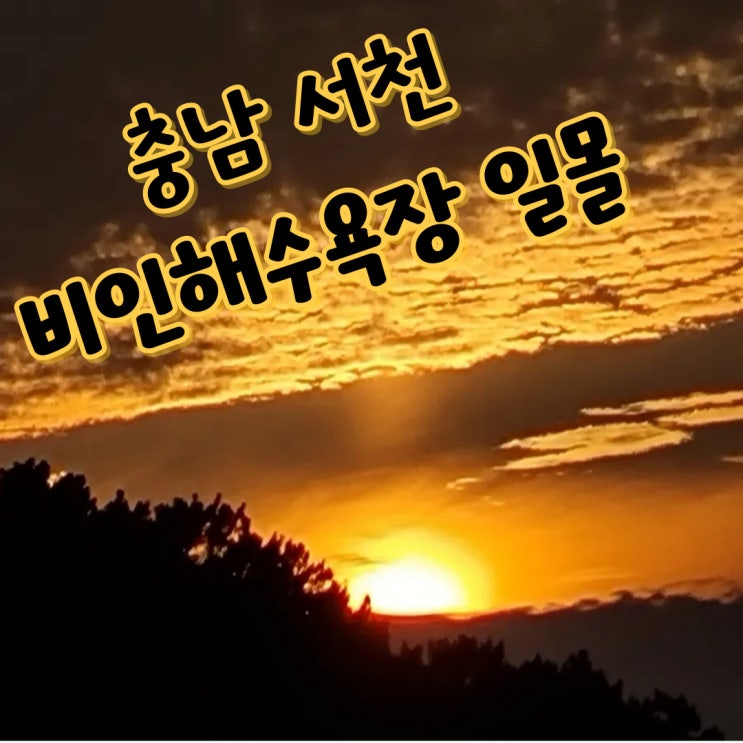  서천 황금빛 바다  일몰 명소 비인해수욕장과 역대급 노을뷰 6곳