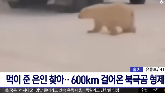  ~블로그 유기를 선언합니다~