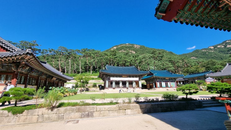  한가지 소원은 꼭 들어주신다는 은평 진관사 나한전