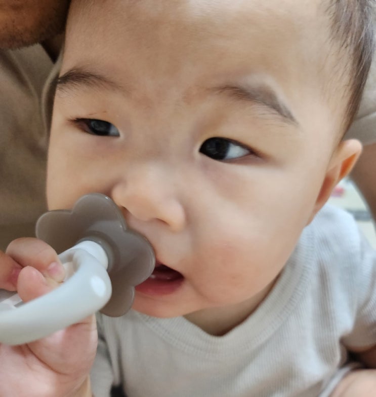  8개월 양치질을 어떻게해야할까?