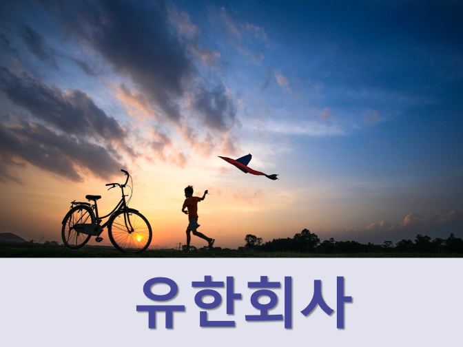  주식회사와 유한회사 차이, 비교