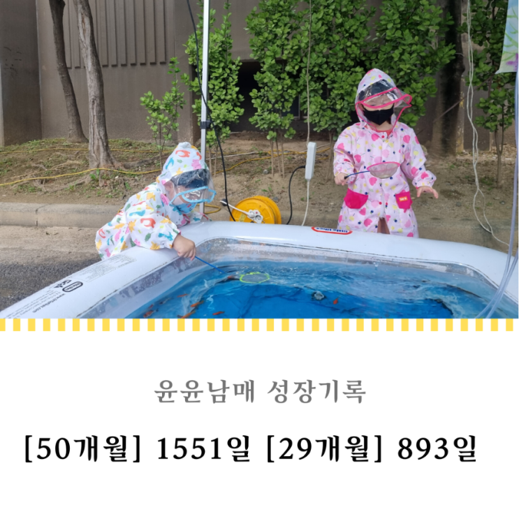  1551일 893일 : 금붕어 잡기 체험