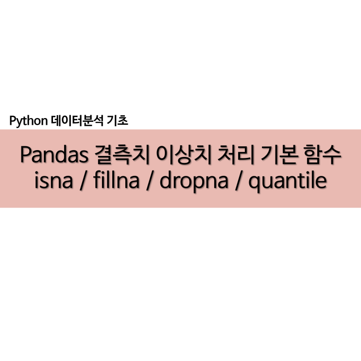  python 결측치 이상치 처리 기본 isna fillna dropna quantile