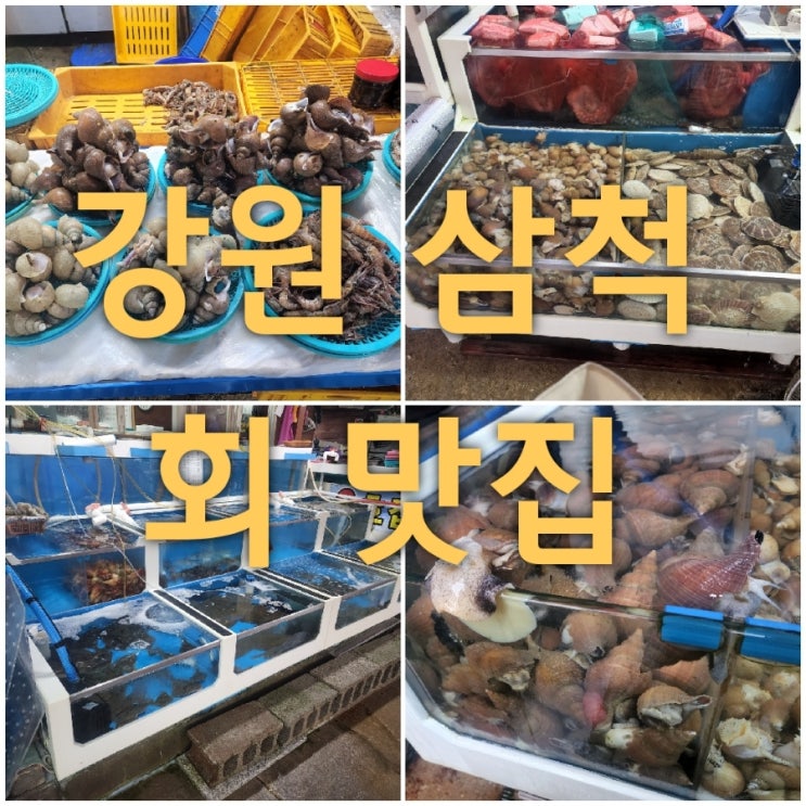  삼척 번개시장과 삼척항활어회센터 어디가 좋을까??