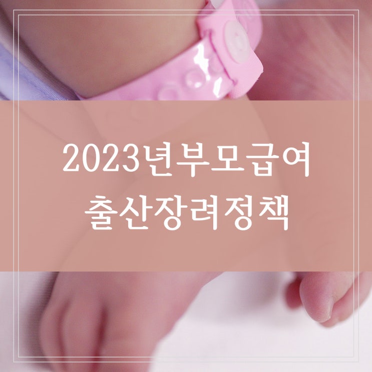 2023년 부모급여 출산장려제도 자녀 지급 시기와 지급액 수당지급 정책으로 저출산 문제 해결 (100만원 70만원)