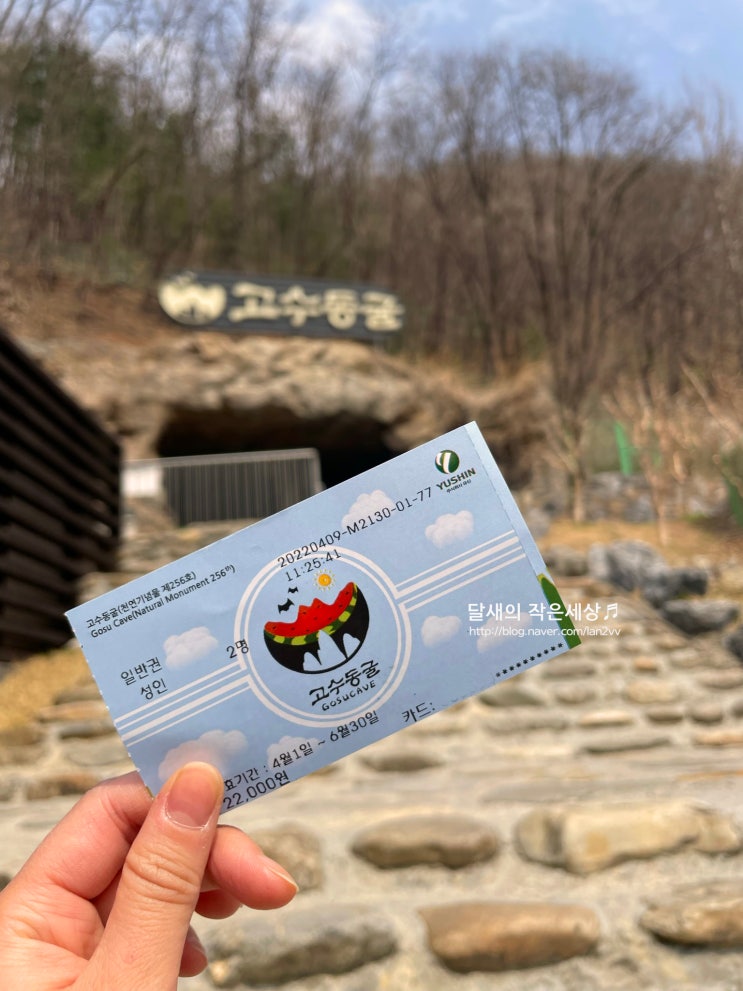  단양 여행) 단양 가볼만한 곳 천연기념물 '고수동굴'