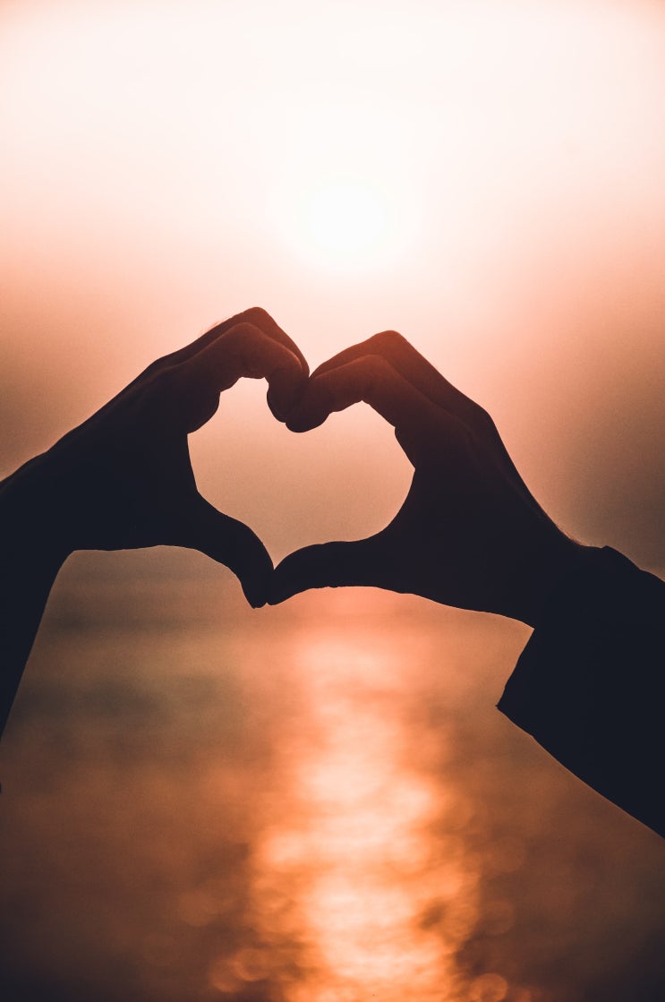 MBTI INFJ 연애 성향과 궁합 MBTI INFJ 연애 성향과 궁합