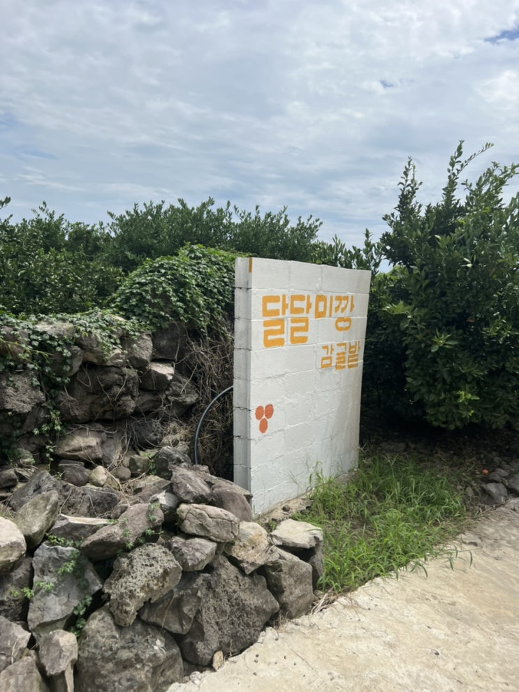  [제주도 남원읍] 카페미깡