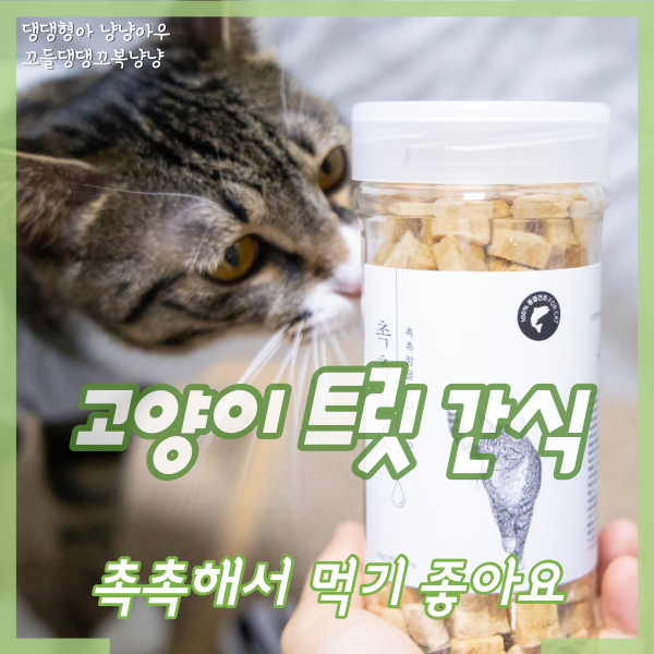  고양이 트릿 간식, 먹기 좋은 크기라 급여가 편한 촉촉트릿
