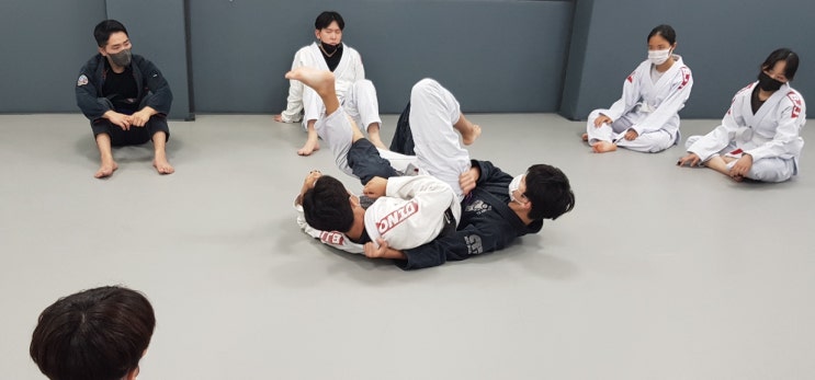 팀다이노 주짓수, 날씨가 선선해지고 있네요!