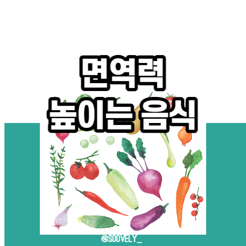  면역력좋은음식 면역력높이는법 면역낮을때음식