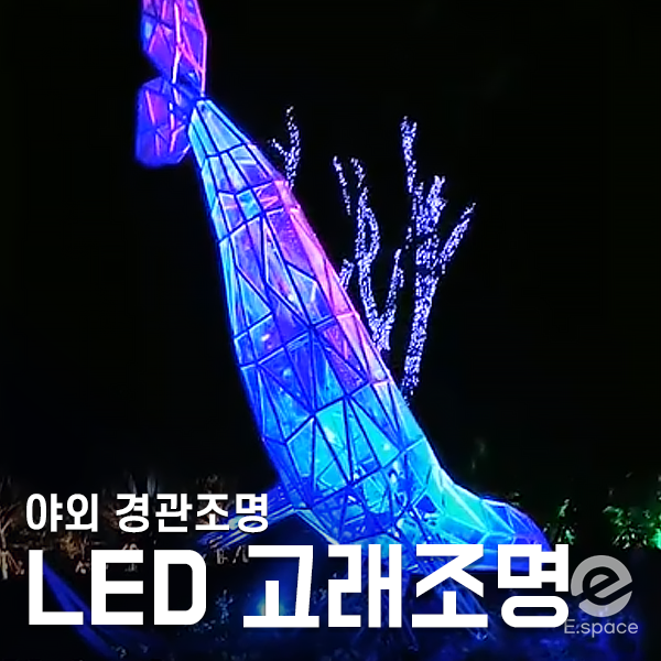  아이들이 더 좋아하는 LED 고래 조명(야외 경관조명)