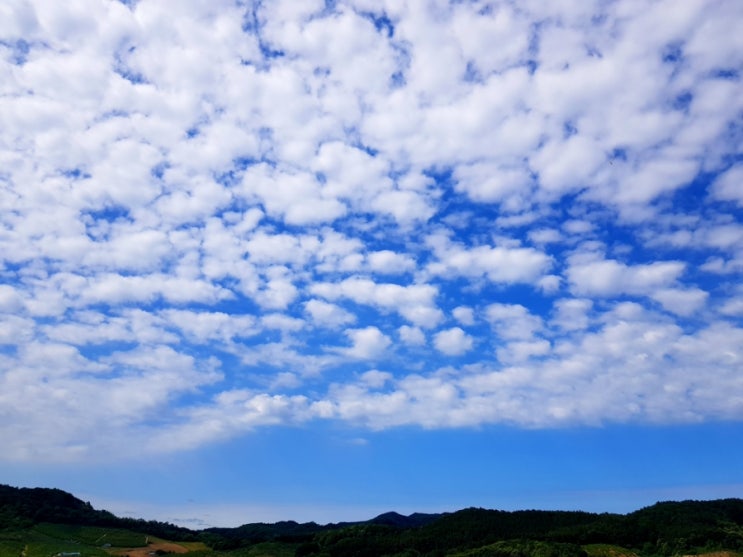  구름 컬렉터 / 구름 주간 일기 / 예쁜 하늘 예쁜 구름