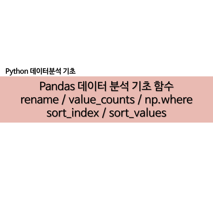 pandas 데이터 분석 기초 함수 rename value_counts np.where sort_index sort_values