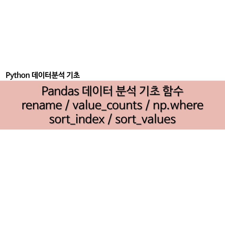  pandas 데이터 분석 기초 함수 rename value_counts np.where sort_index sort_values