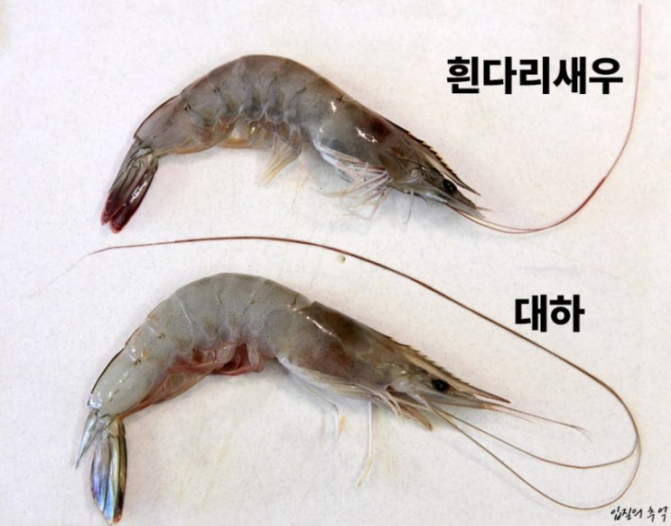  9월에는