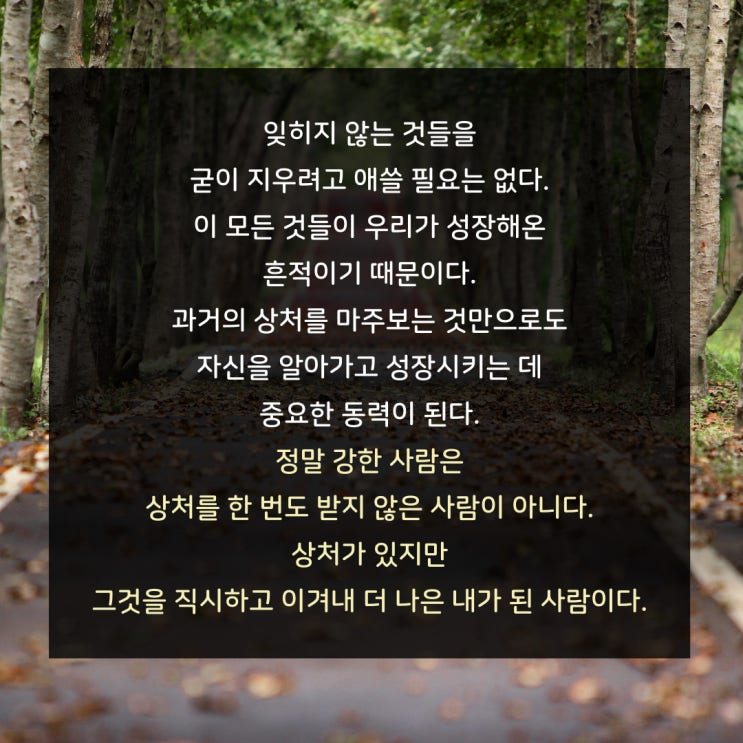  오늘의 좋은 글귀 : 강한 사람이란?