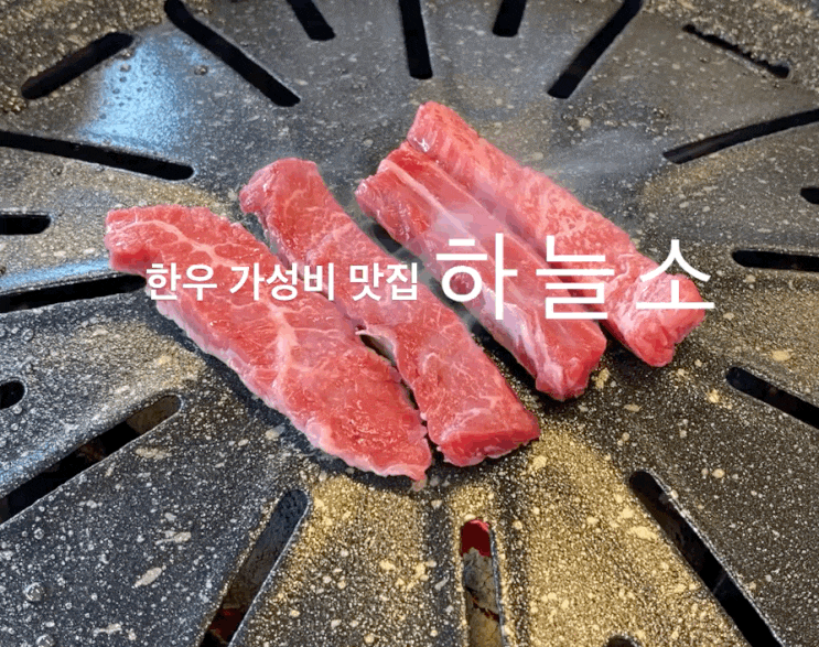  대전 한우 가성비 맛집 '하늘소' 솔직한 후기