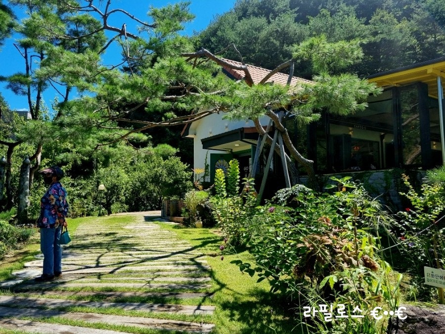고미재펜션 사진 4