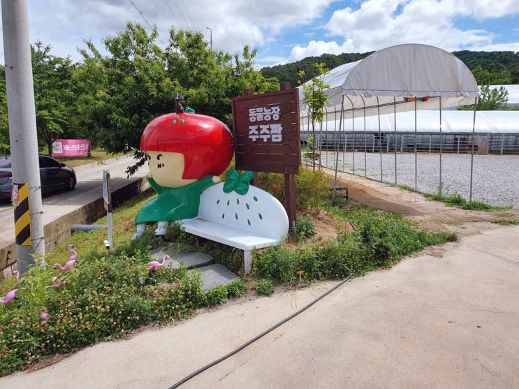 경기도 여주 동물체험농장-아기자기한 실내동물원 주주팜 경기도 여주 동물체험농장-아기자기한 실내동물원 주주팜