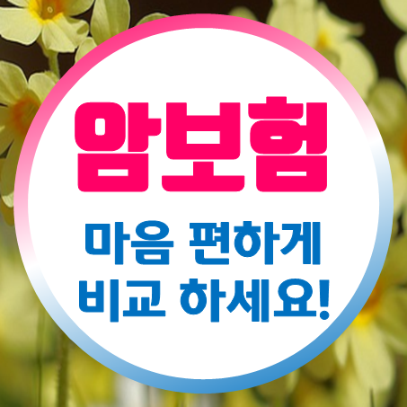  실버암보험 추천 및 노인 시니어실비보험 마음 편하게 둘러보고 결정할 수 있어요.