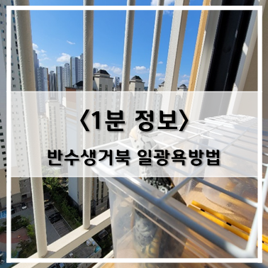  [정보] 여름철 반수생 거북이 자연 일광욕 방법