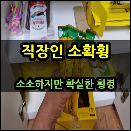  직장인 소확횡 소확행 소소하지만 확실한 횡령