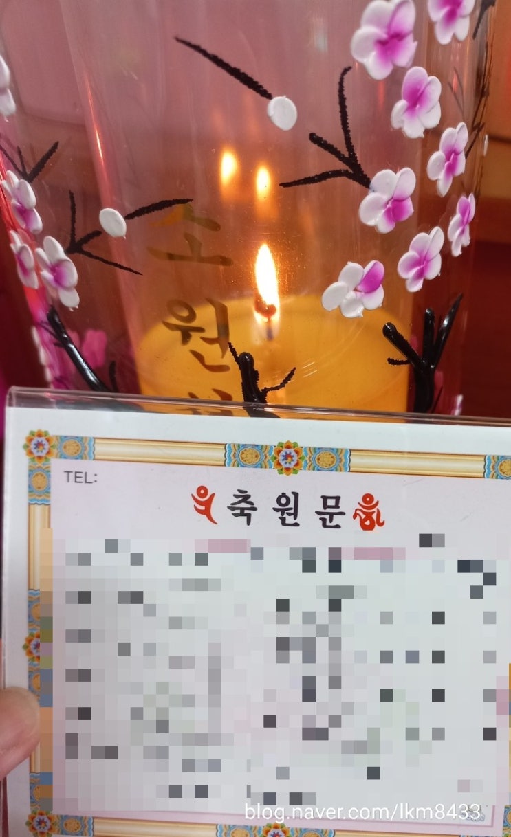  세번째 돈꽃이 피었어요/안산용궁아씨/초꽃