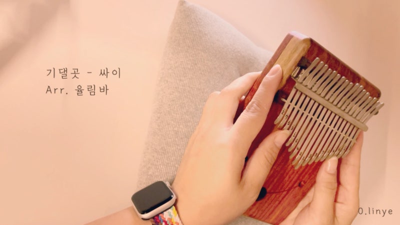 【17키】 기댈곳 - 싸이 / Arr. 율림바 / 칼림바연주