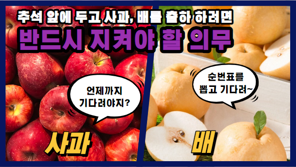  [알쓸신잡-도매시장] 추석 명절 성수 출하시기에는 반드시 사과, 배는 반드시 이곳을 통과해야 가락시장으로 갈 수 있습니다!