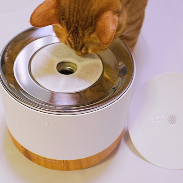 고양이 정수기 :: 음수량 측정 스마트 급수기 '포먼트 우디'