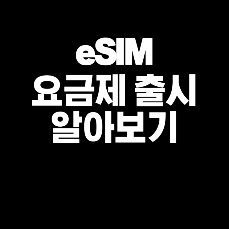  1개의 폰으로 2개의 번호 eSIM 개통 알아보기