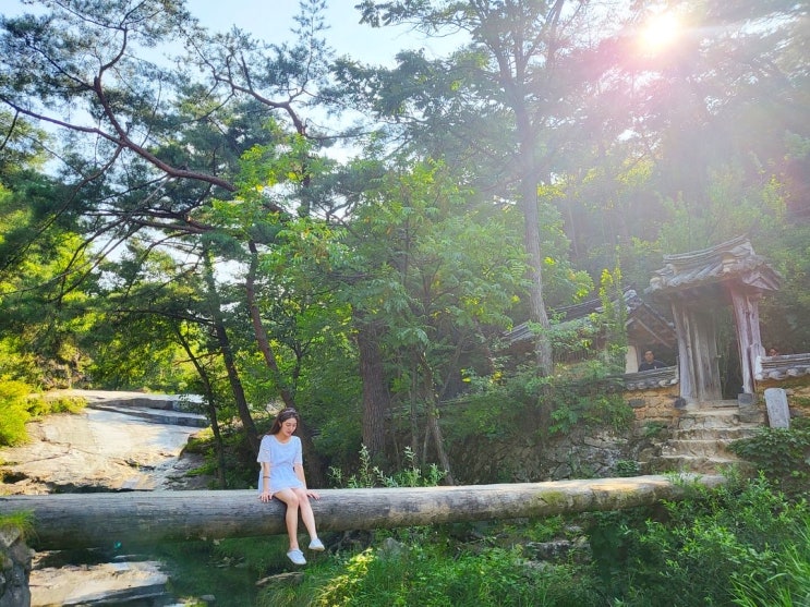  만휴정, 월영교 돌아보고 온 안동 1박2일