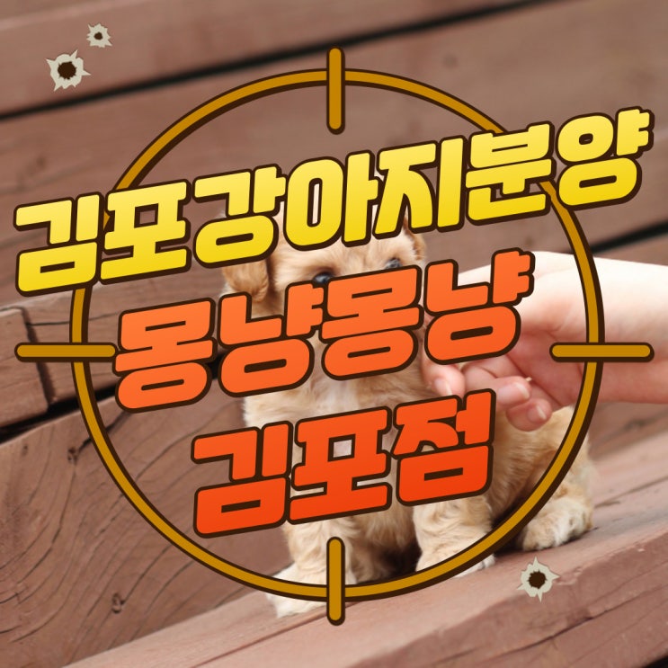  구디맘 블로그 - 김포강아지분양 "몽냥몽냥김포점" 추천